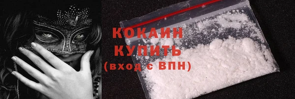 индика Волоколамск