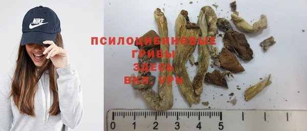 индика Володарск