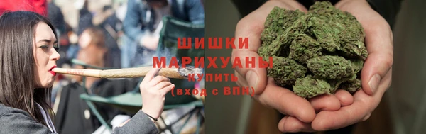 шишки Волосово