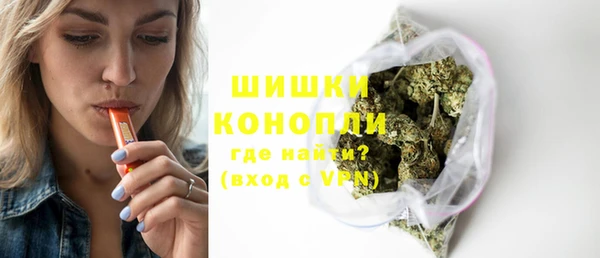 индика Володарск