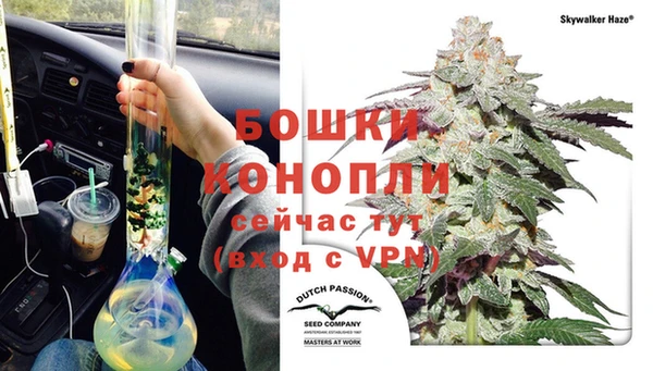 индика Володарск