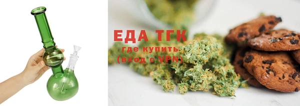индика Володарск