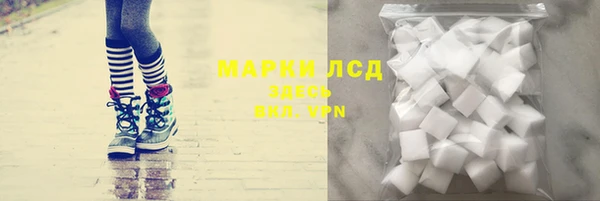 индика Волоколамск