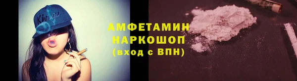 индика Волоколамск