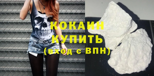 индика Володарск