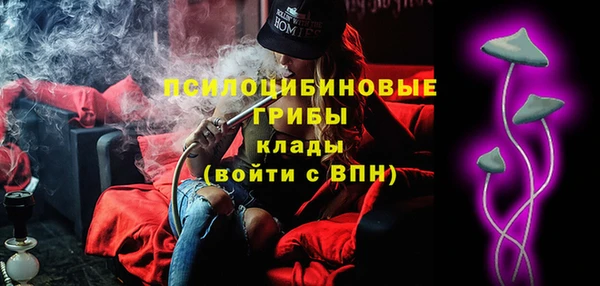 индика Володарск