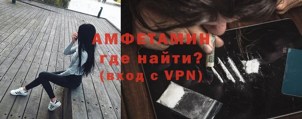 индика Волоколамск