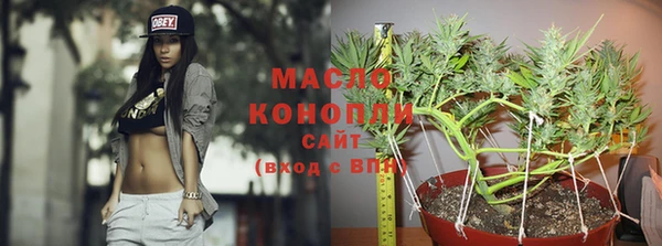 индика Володарск