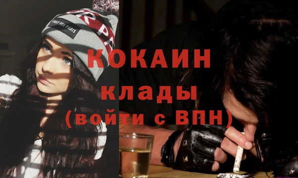 индика Волоколамск
