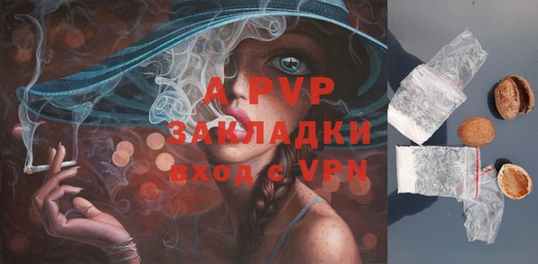 индика Волоколамск
