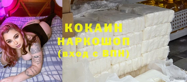 индика Волоколамск