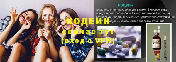 индика Волоколамск