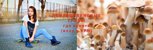 бутират Бикин